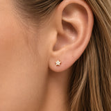 14K Solid Gold Diamond Star Stud Earrings